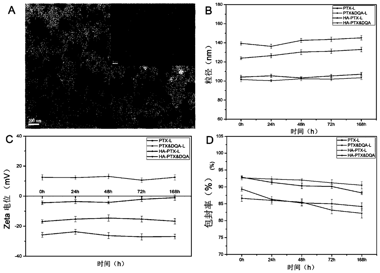 Hyaluronic acid modified mitochondria target liposome and preparation method thereof