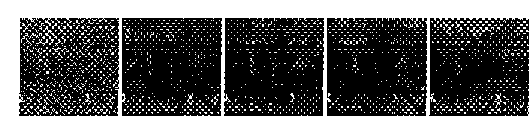 Transform domain neighborhood self-adapting image denoising method for detecting fire accident