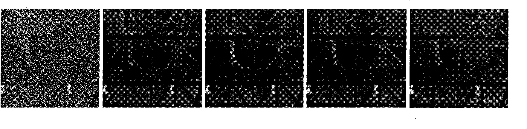 Transform domain neighborhood self-adapting image denoising method for detecting fire accident