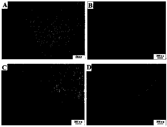 Etchant for displaying 690 nickel-base alloy deposited metal grain boundary and etching method thereof