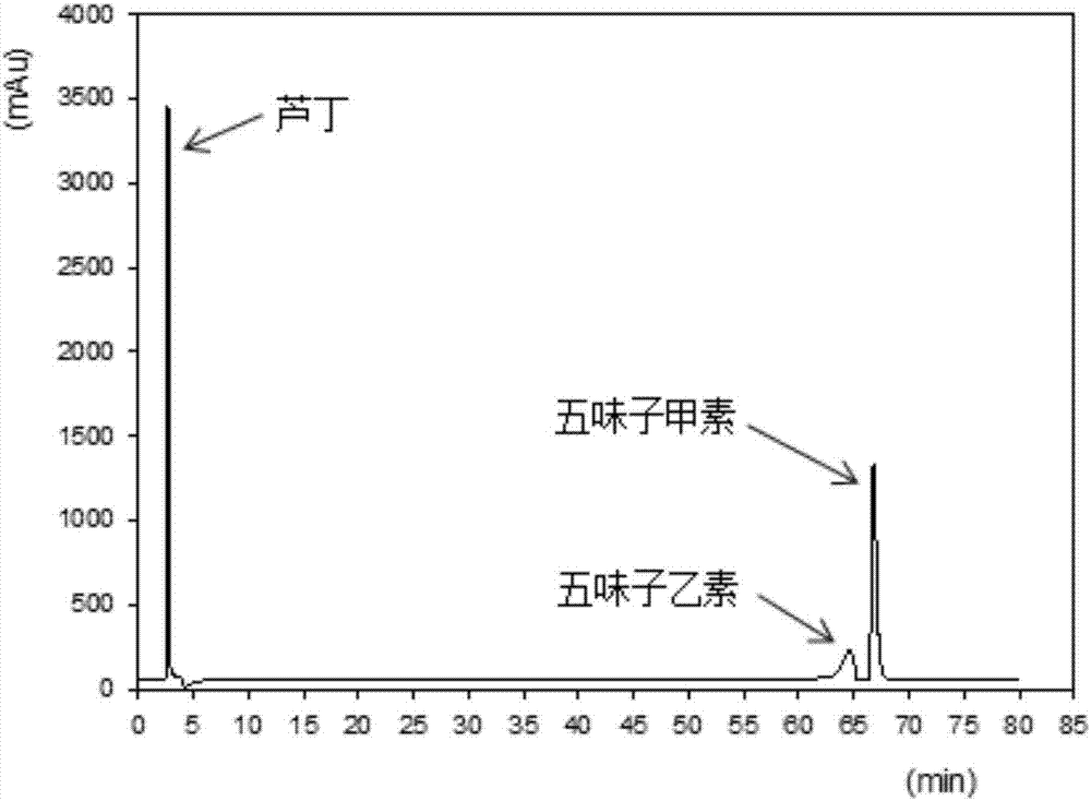 Detection method of functional effective components of radix seu caulis schisandrae propinquae and application