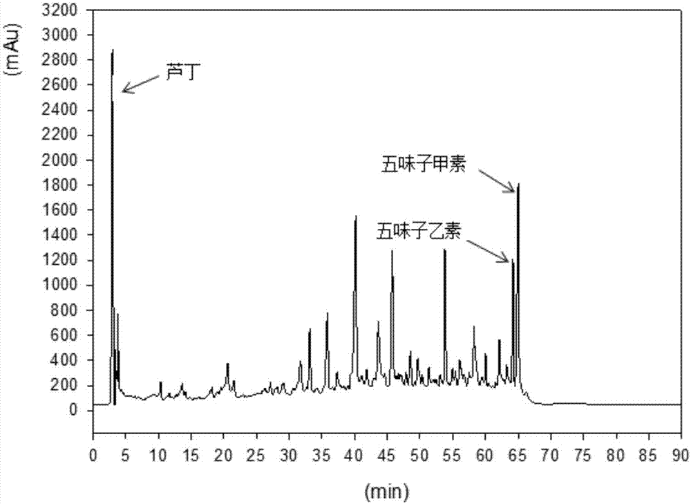 Detection method of functional effective components of radix seu caulis schisandrae propinquae and application