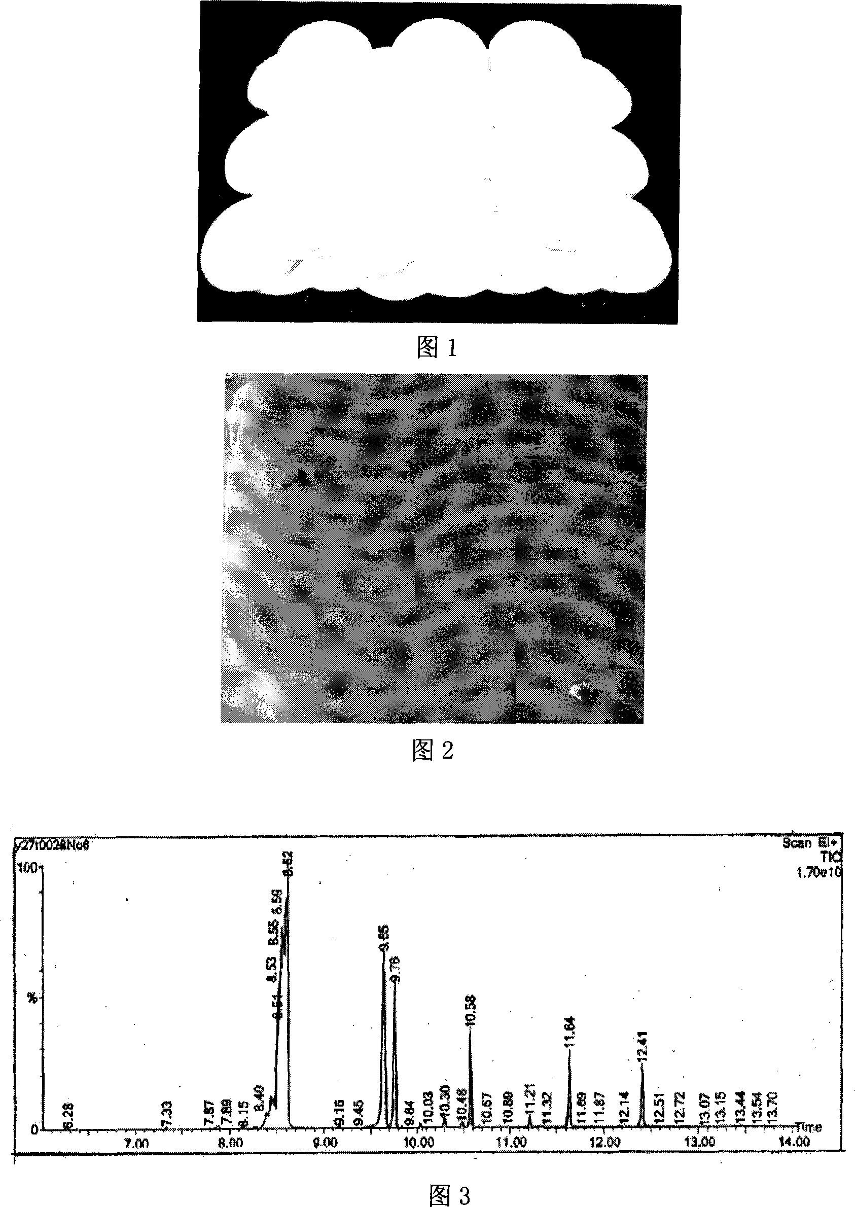 Extraction method of japan wax, japan wax composite nano material and preparation method