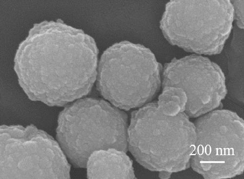 Preparation method of phenylboronic acid modified magnetic beta-cyclodextrin polymer and application of phenylboronic acid modified magnetic beta-cyclodextrin polymer in selective separation of shikimic acid