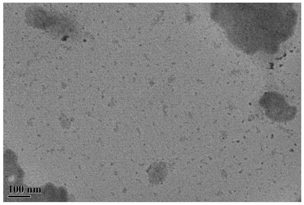 A boron-nitrogen co-doped sulfur quantum dot and its preparation method and application