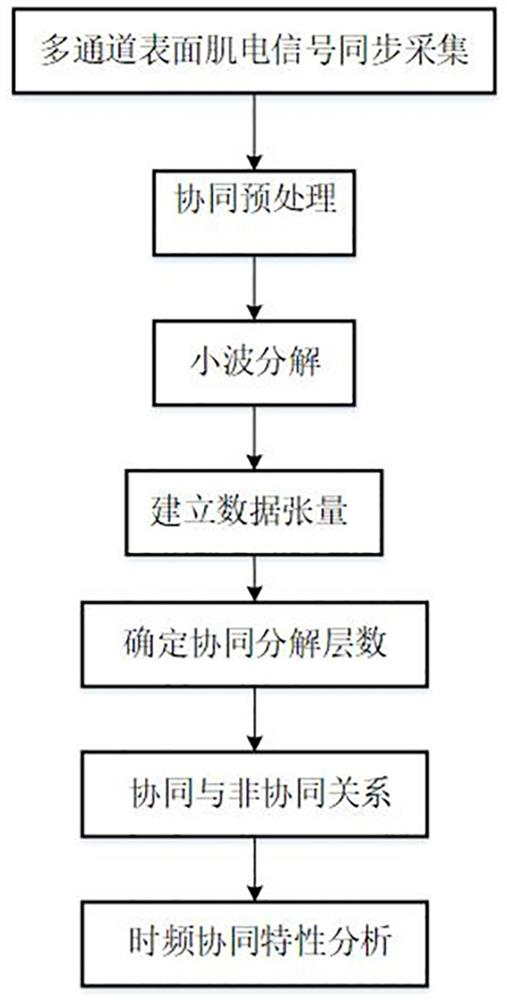 Time-frequency-space muscle collaborative analysis method based on wavelet and non-negative tensor decomposition