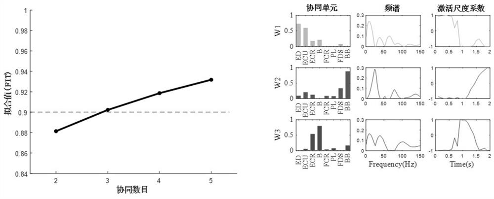 Time-frequency-space muscle collaborative analysis method based on wavelet and non-negative tensor decomposition