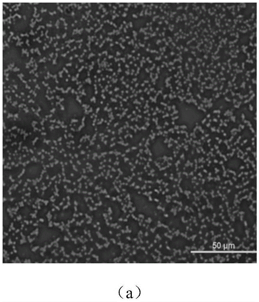 A kind of fluorescent compound and its preparation method and the method and application of using the fluorescent compound to prepare sensing thin film