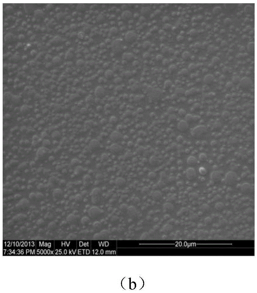 A kind of fluorescent compound and its preparation method and the method and application of using the fluorescent compound to prepare sensing thin film