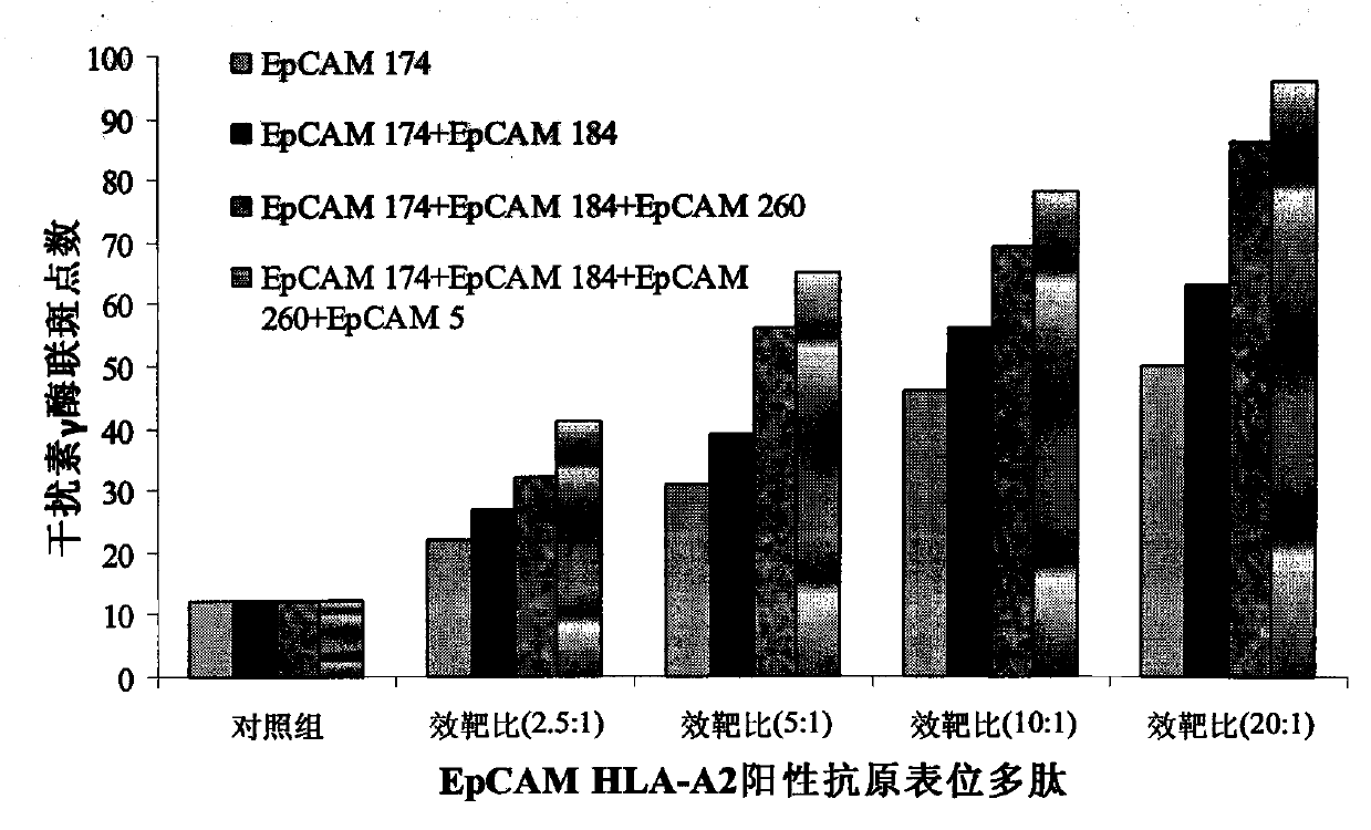 Preparation method and kit for dendritic cell vaccine loaded by tumor specific antigenic epitope polypeptide