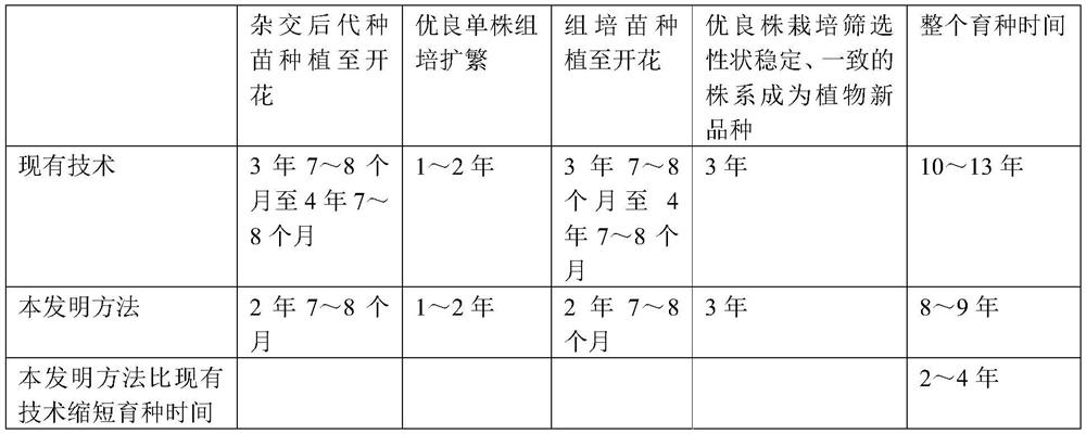 Soilless cultivation method to promote rapid flowering of Alpine Rhododendron Hongfenjiaren seedlings