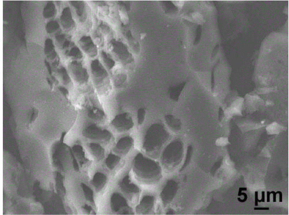 Sulfur positive electrode of lithium sulfur battery and preparation method