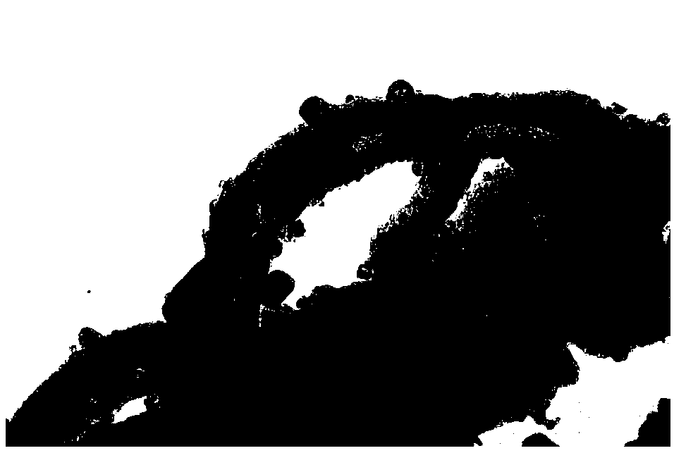 Preparation method of high-capacity fluoride/porous carbon composite positive electrode material