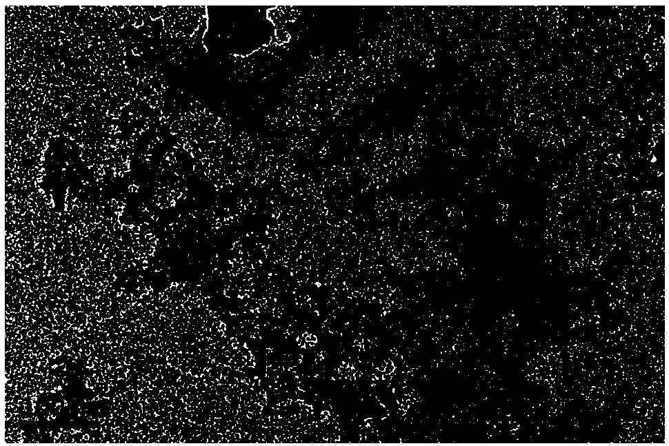 Preparation method of high-capacity fluoride/porous carbon composite positive electrode material