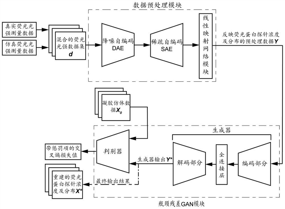 Mesoscopic fluorescence molecular tomography method and system based on bottleneck residual GAN