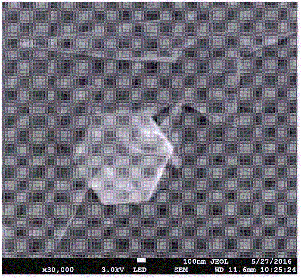 Preparation method of lead-graphene composite material for lead-carbon battery