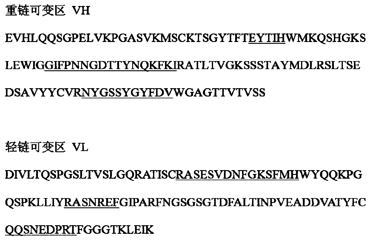 Humanized antibody for resisting avian influenza H5N1 hemagglutinin antigen, and preparation method and application thereof