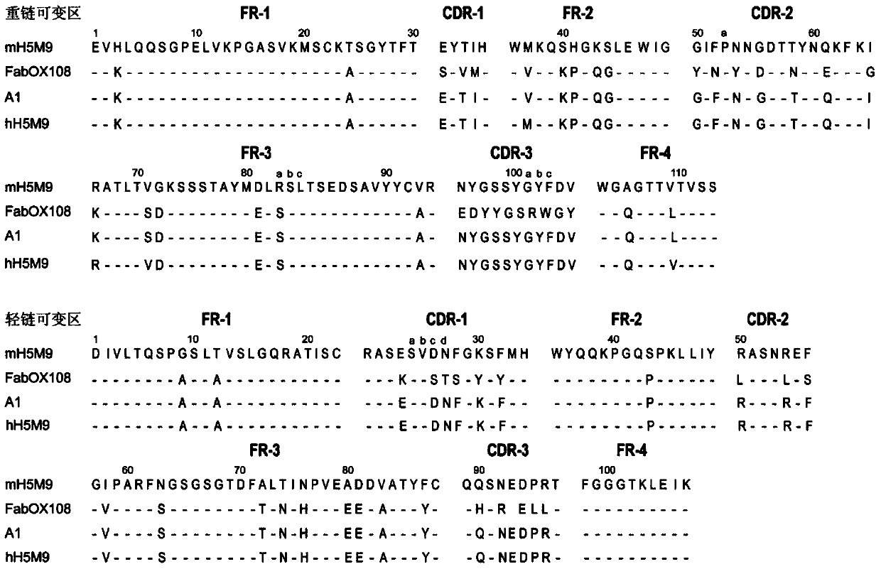 Humanized antibody for resisting avian influenza H5N1 hemagglutinin antigen, and preparation method and application thereof