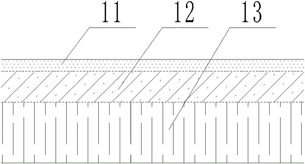 Biologic induction floor