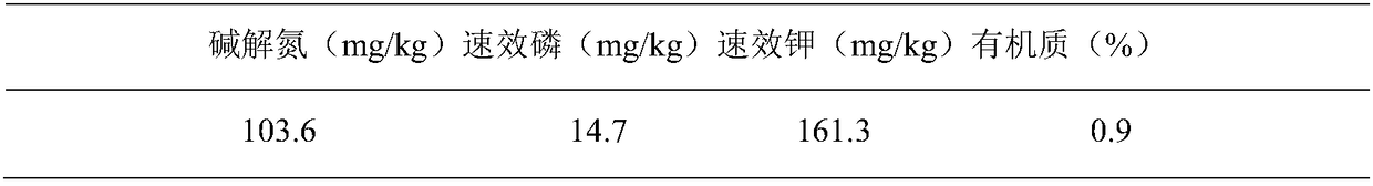 Special young whitening tea tree fertilizer as well as application method and application thereof