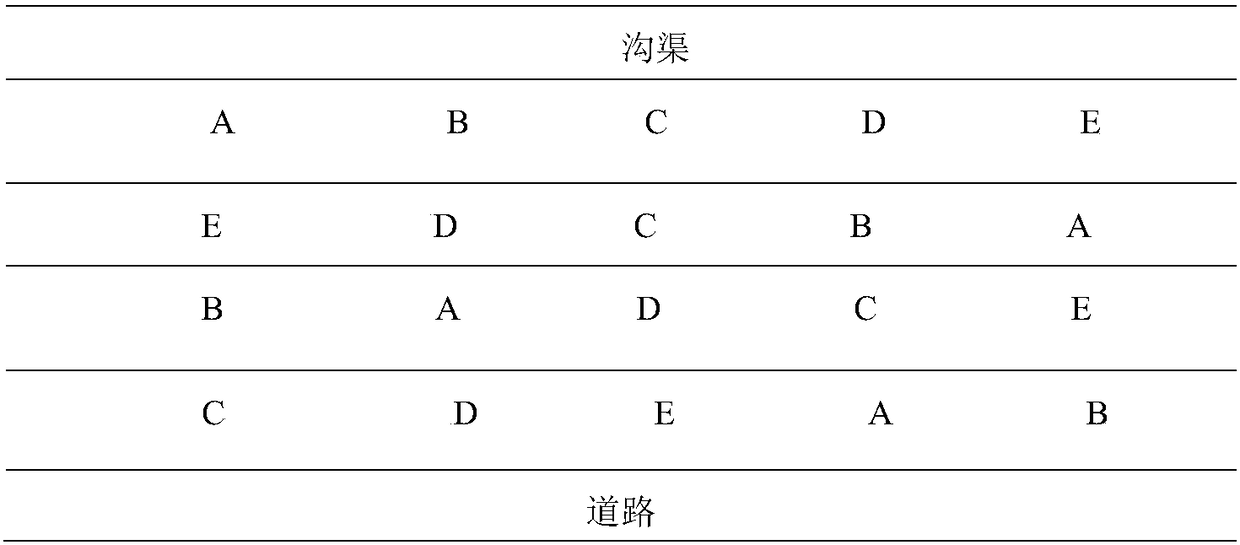 Special young whitening tea tree fertilizer as well as application method and application thereof