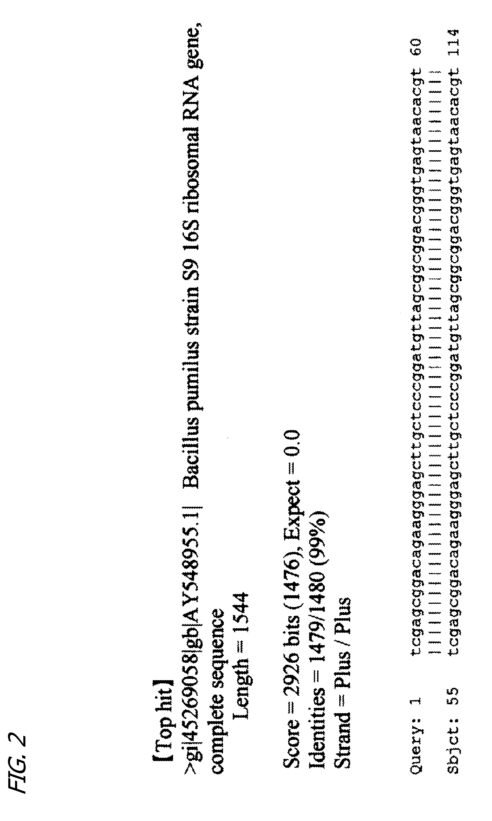 Novel Microorganism Having Gastric-Juice Promoting Activity, and Its Secretory Product