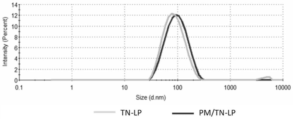 Bionic nano-drug for preventing and treating aortic dissection and preparation method thereof