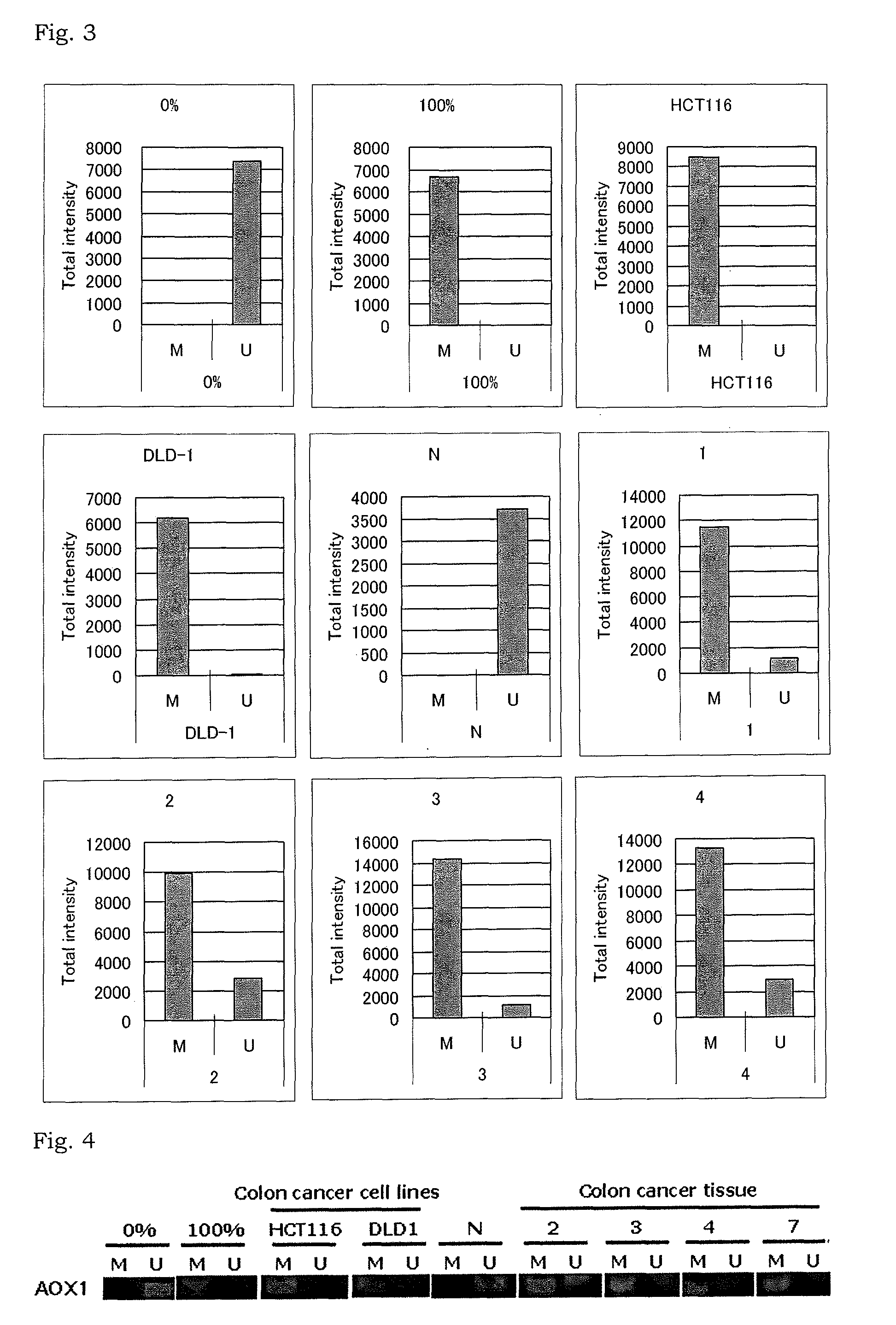 Methylation analysis to determine the presence of cancer cells