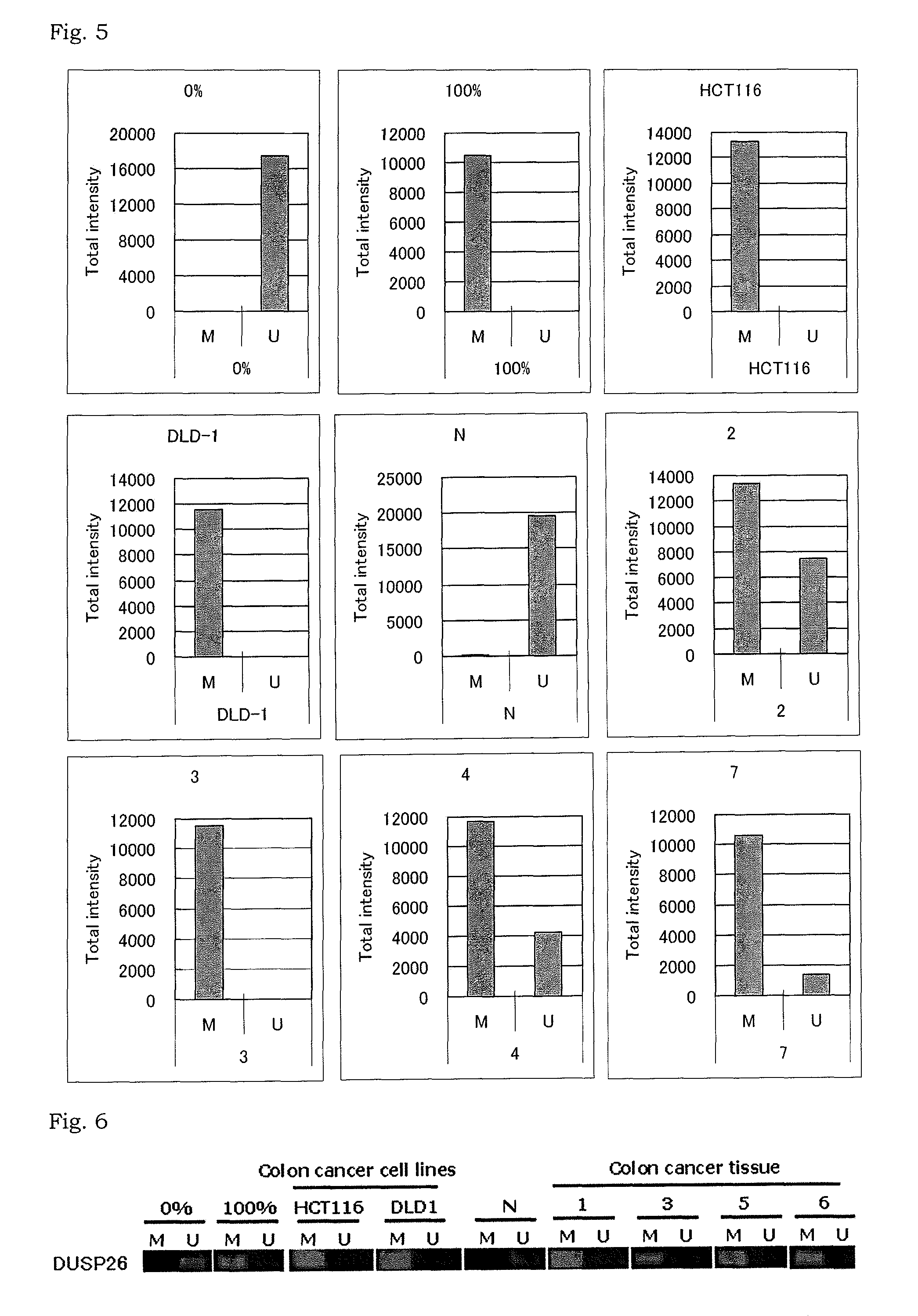 Methylation analysis to determine the presence of cancer cells