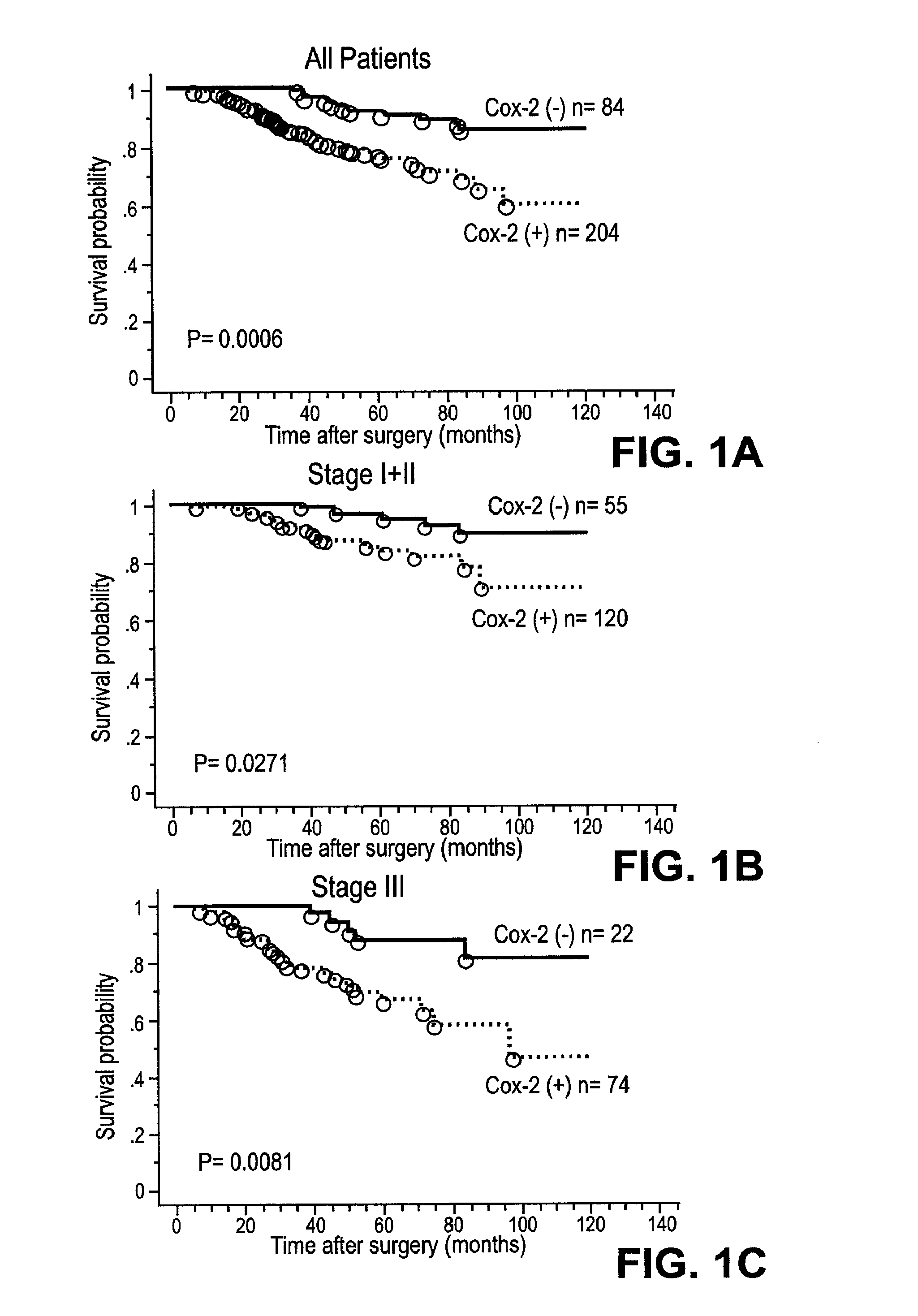 Therapies for treating cancer using combinations of cox-2 inhibitors and Anti-her2(ERBB2) antibodies or combinations of cox-2 inhibitors and her2(ERBB2) receptor tyrosine kinase inhibitors