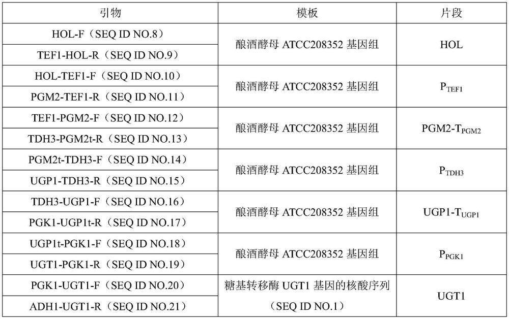 Recombinant saccharomyces cerevisiae for producing ginsenoside CK by metabolizing glycerol and construction method of recombinant saccharomyces cerevisiae