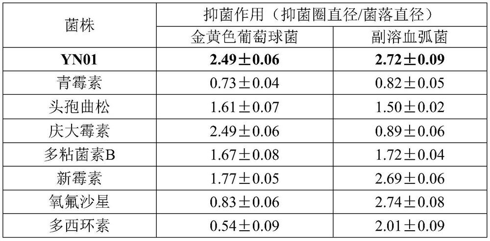 Micro-ecological composite additive for aquatic products and application of micro-ecological composite additive