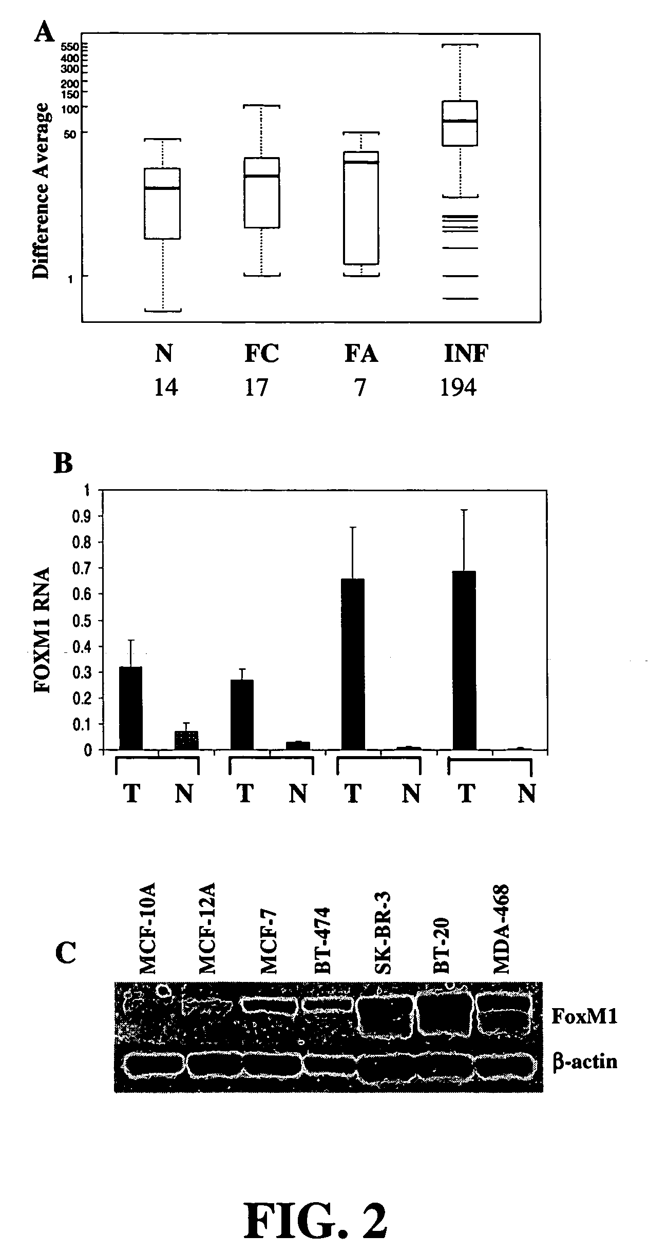 Diagnoses and therapeutics for cancer