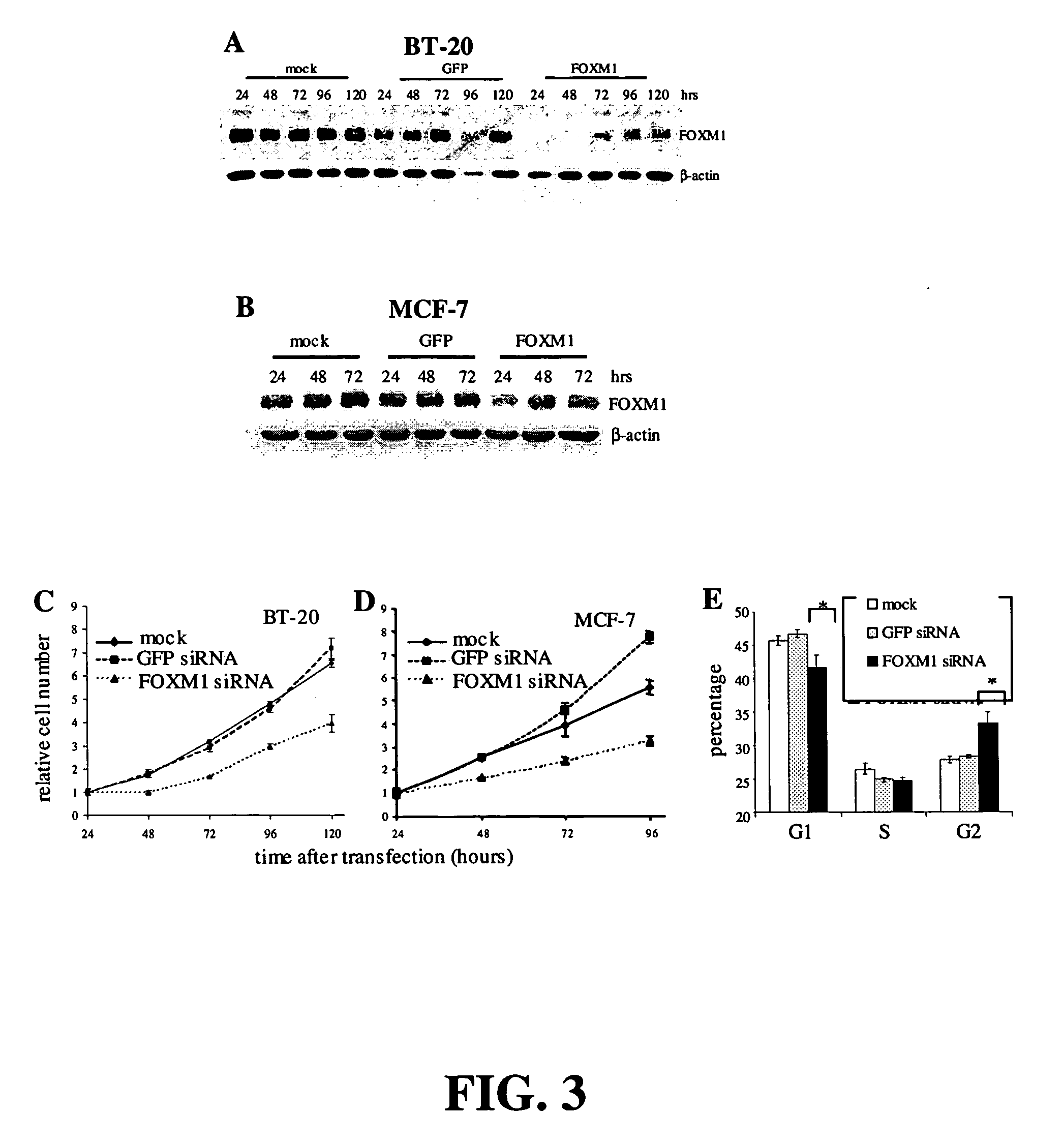 Diagnoses and therapeutics for cancer