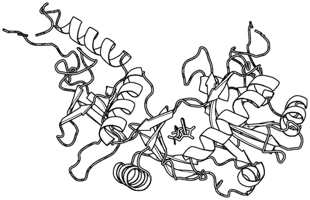 A method for protein ATP docking based on differential evolution