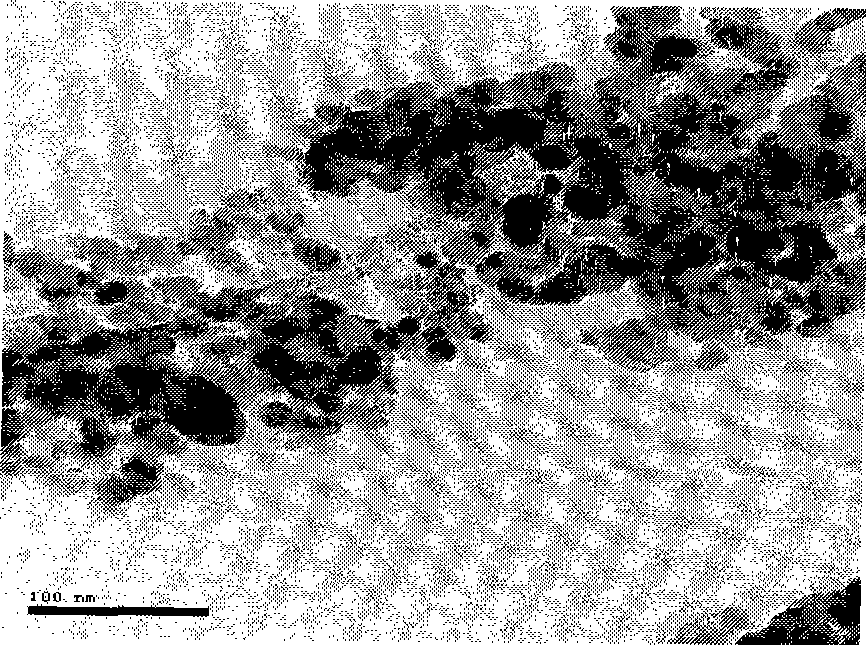 Method for coating carbon nano-tube with metal doped zinc oxide nano-particle