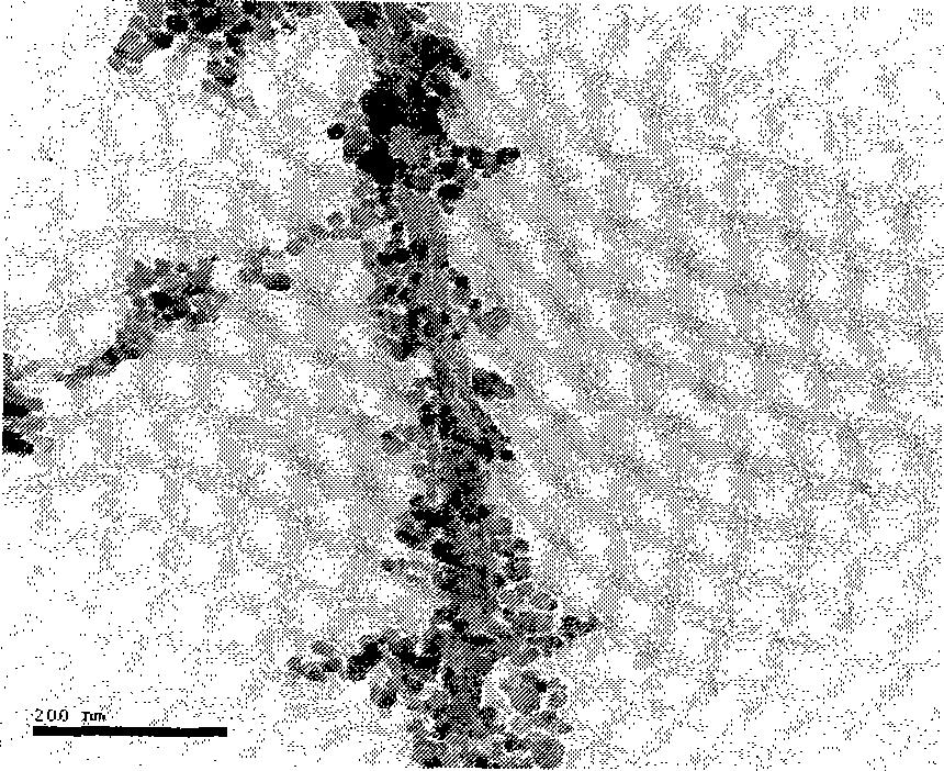 Method for coating carbon nano-tube with metal doped zinc oxide nano-particle