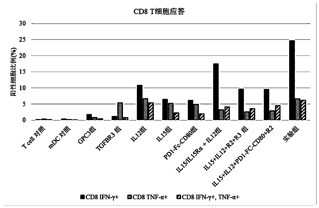 Composition and application thereof for releasing tumor immunosuppression