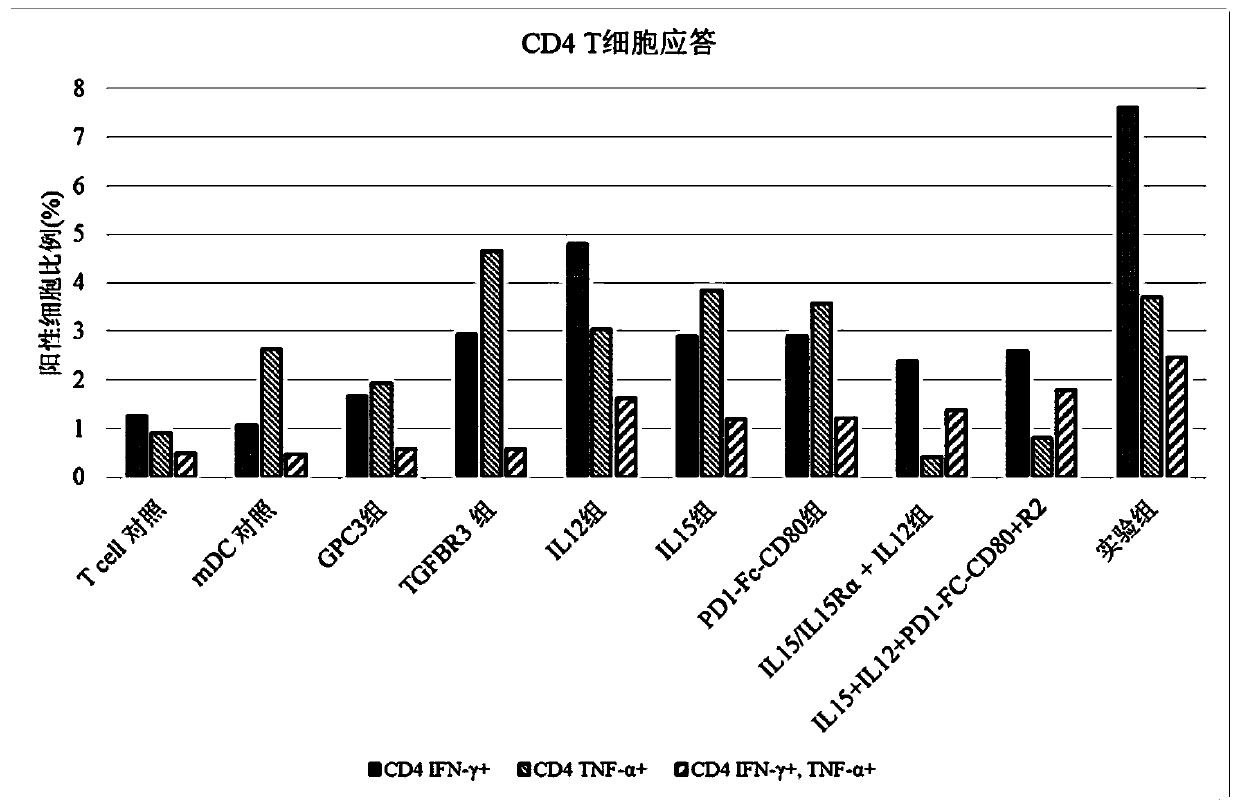 Composition and application thereof for releasing tumor immunosuppression