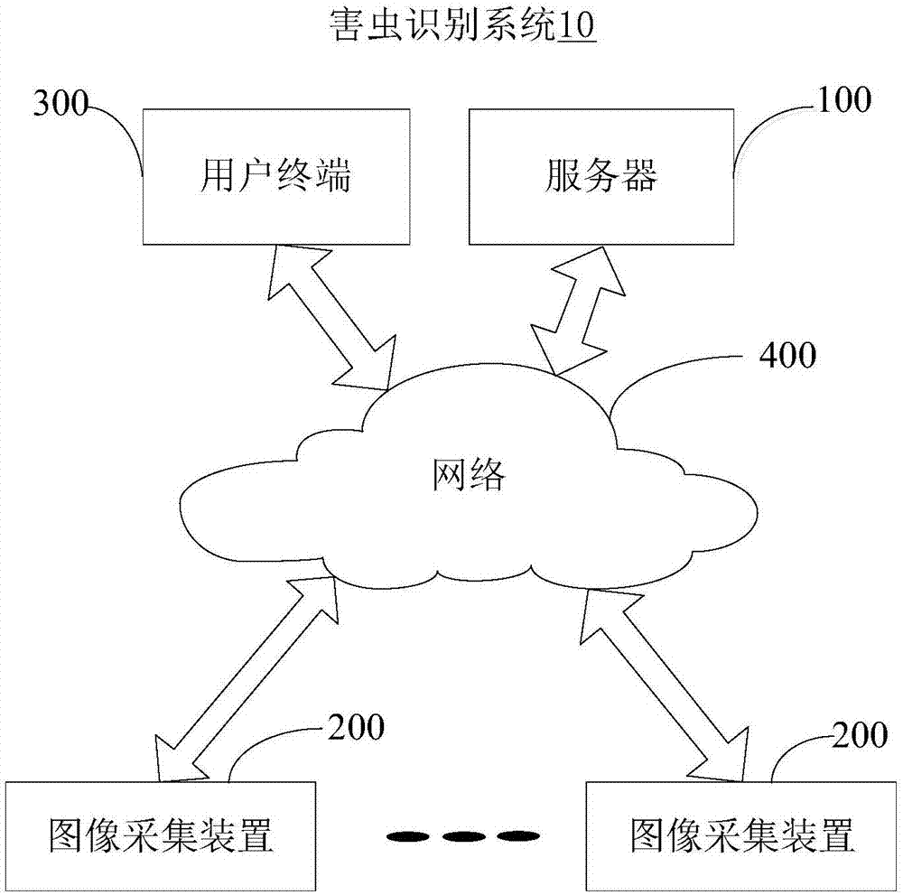 Insect identification early warning method and system