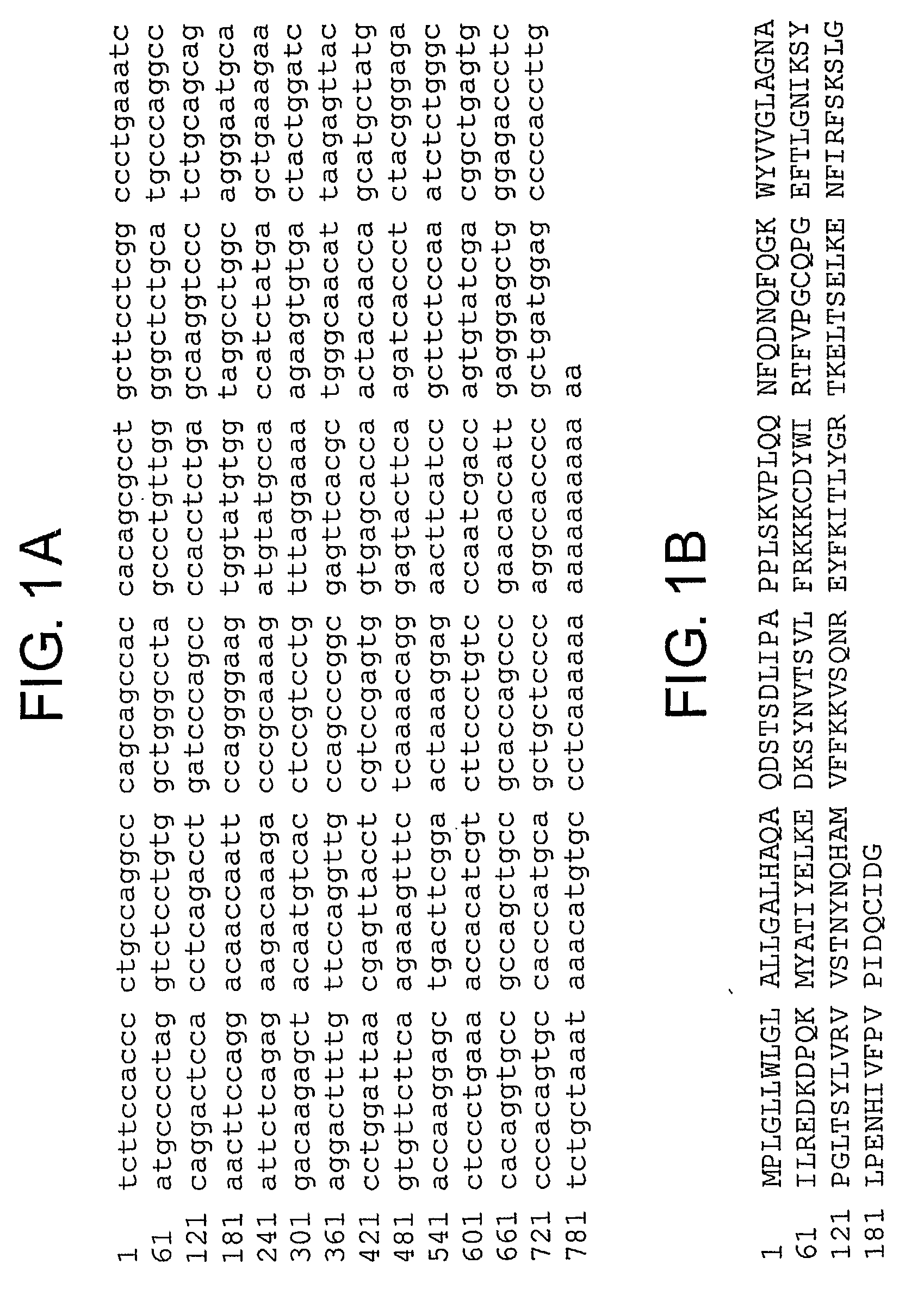 Lipocalin 2 for the Treatment, Prevention, and Management of Cancer Metastasis, Angiogenesis, and Fibrosis