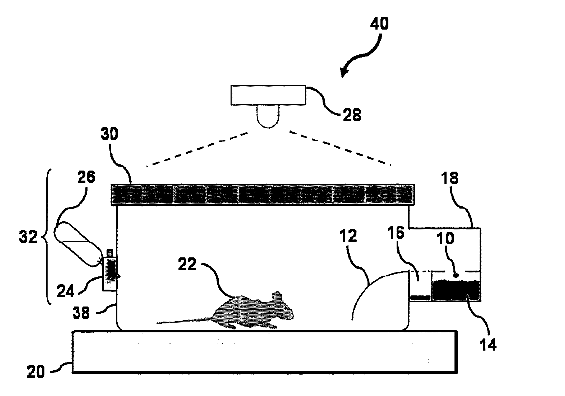 Animal cage behavior system