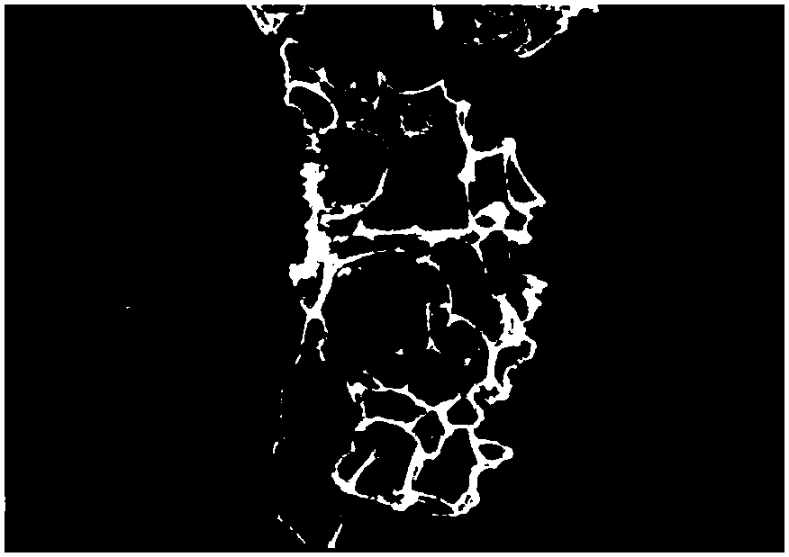 A kind of preparation method of sodium ion battery negative electrode carbon material containing multi-level pore size distribution