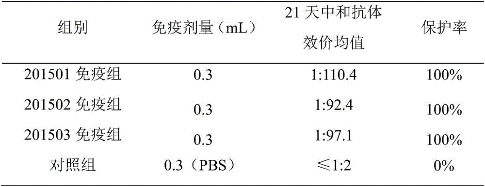 Serum type 4 fowl adenovirus inactivated vaccine and preparation method thereof