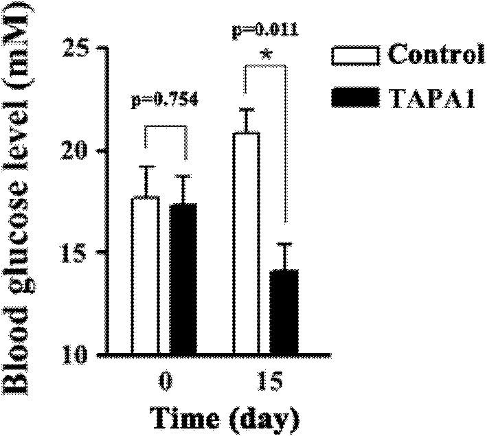 Antidiabetic medicament screening method using Nur77-LKB1 interaction as target point