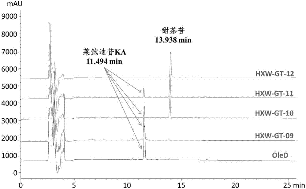 Preparation method of rebaudioside-KA