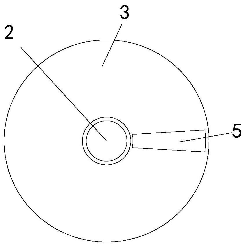 Accelerated cooling device for torreya grandis processing