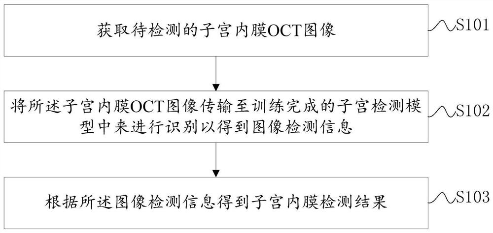 OCT-based endometrium detection and analysis method, device and equipment and storage medium