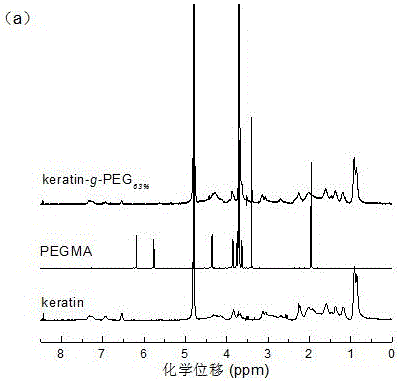 Protein grafted copolymer and preparation method thereof