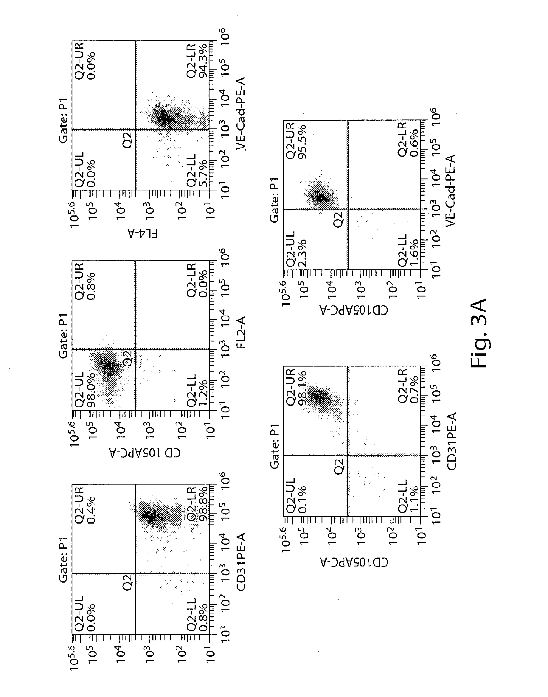 Methods for production of platelets from pluripotent stem cells and compositions thereof